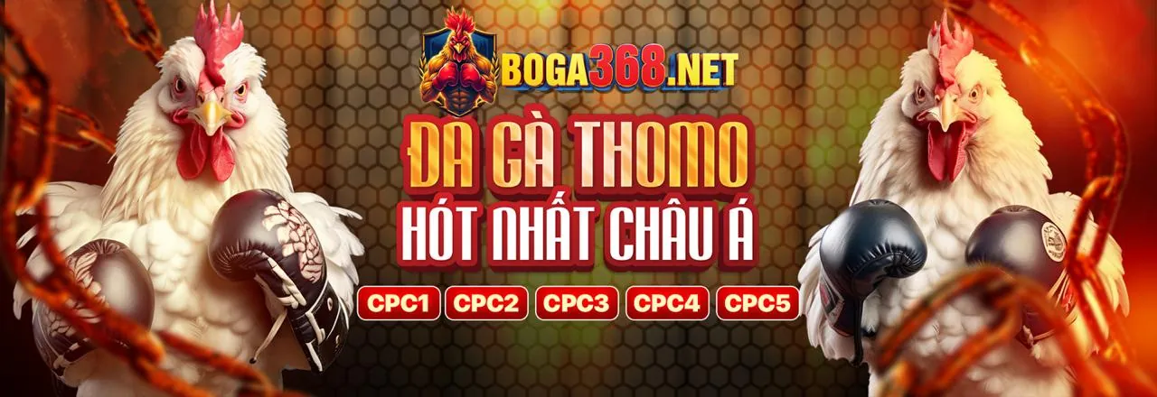 Đá Gà Trực Tuyến mcw88 nhà cái